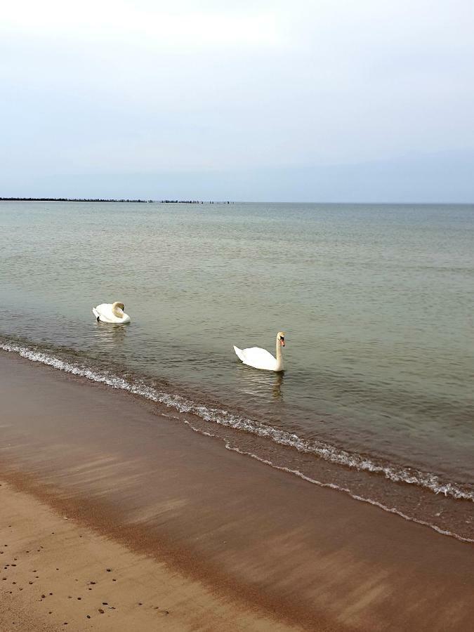 Palanga Apartments Near Baltic Sea Экстерьер фото