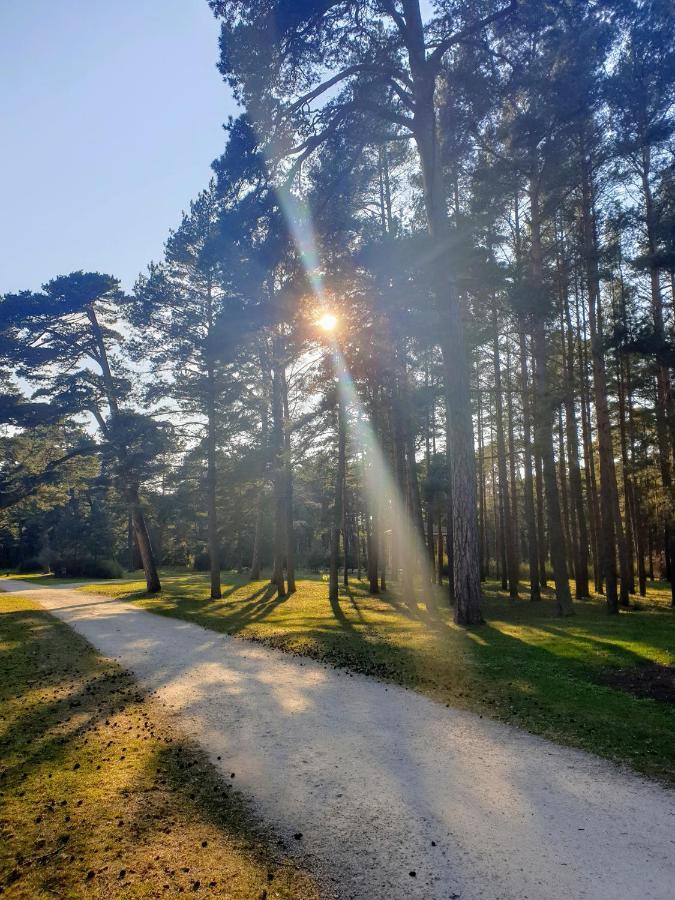 Palanga Apartments Near Baltic Sea Экстерьер фото